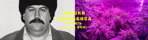Альфа ПВП Богородицк
