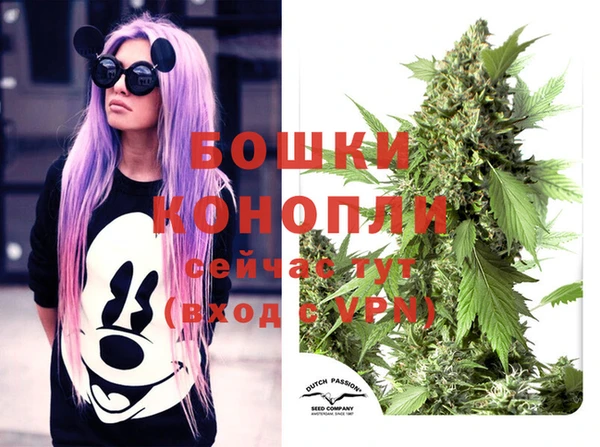 Альфа ПВП Богородицк