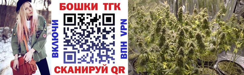 Купить Неман Бошки Шишки Amnesia